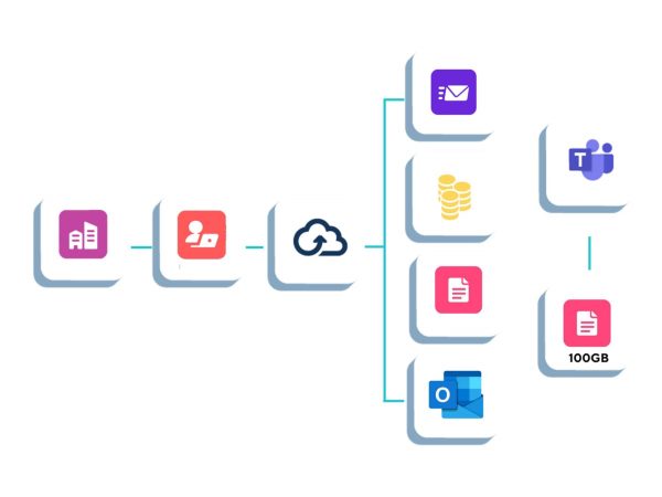 BitTitan Tenant Migration Bundle - licence d'abonnement - 1 licence