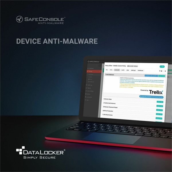 DataLocker Anti-Malware Secure USB Device - License - 1 Device - 3 Year